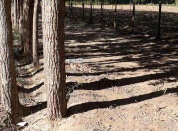 Terreno · 2860m² · Terreno en Alamos del Valle, Uspallate, Las Heras