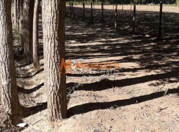 Terreno · 2860m² · Terreno en Alamos del Valle, Uspallate, Las Heras