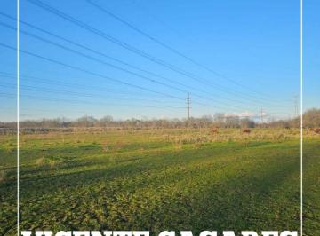 Campo , Cañuelas · Campo de 4 Ha en Venta con Escritura en Vicente Casares