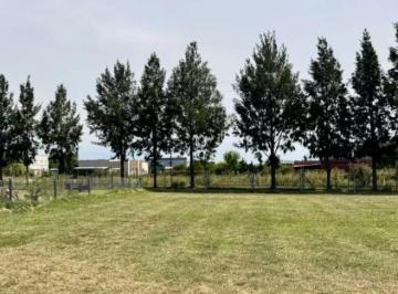 Terreno en Venta  Cruz del Sur · Terreno en Venta