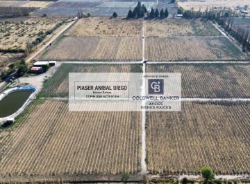 Bodega-Galpón · 400ha · 3 Ambientes · Bodega en Colonia Bombal y Tabanera