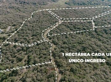 Terreno · 10000m² · Terrenos en Venta Mas de 1ha - Acceso Privado - Naturaleza