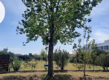 Terreno · 878m² · Excelente Terreno Puerto Roldan 878 m². Escriturado