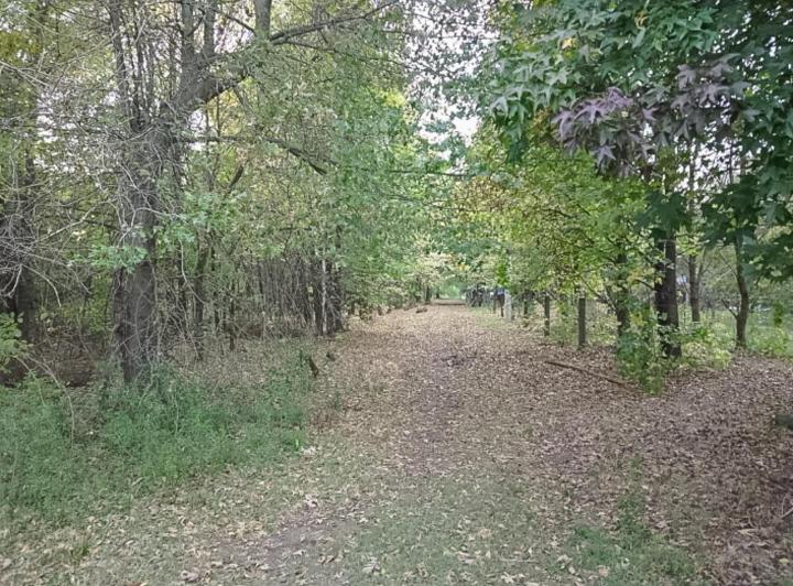 Terreno · 800m²