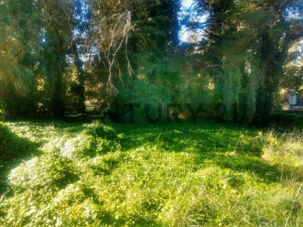 Lote de 800 mts² en Sierra de los Padres, ideal para vivir en tranquilidad
