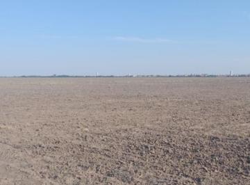 Campo , Bouwer · Campo de 130 Hectáreas en Venta Córdoba Zona Sur