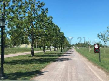 Terreno · 1304m² · Venta de Lote en San Eliseo Golf