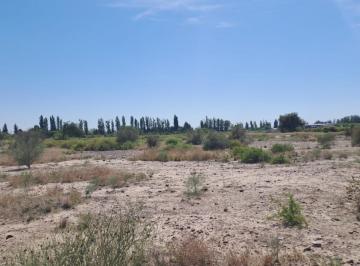 Terreno , Maipú · Finca, Carril Gomez, 36.739 m, Todos Los Servicios