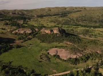 Terreno · 16474m² · Se Venden 2 1/2 Ha en Charbonier, Sobre Ruta 38.