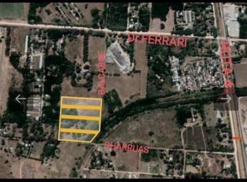 Terreno · 44000m² · Cuatro Terrenos con un Total de 44.000 m² Ideal Loteo