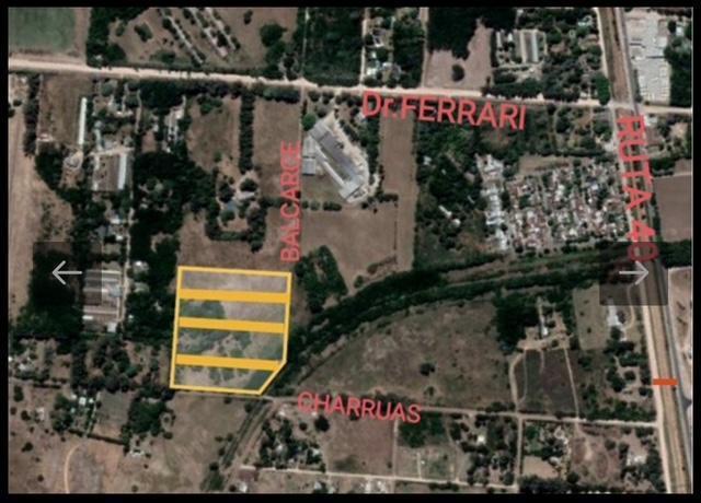 Terreno · 44000m²