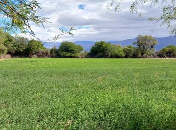 Terreno , San Carlos · Terreno Exclusivo 6.000 m² en Valle Calchaquí – Ruta 40 y Ruta 10, San Carlos