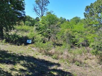 Terreno , Casa Grande · Vendo Lote de Terreno en Casa Grande, Sierras de Córdoba