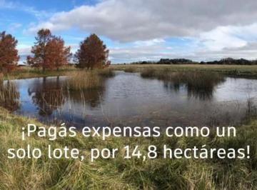 Terreno · 148000m² · Chacra 14.8 Ha