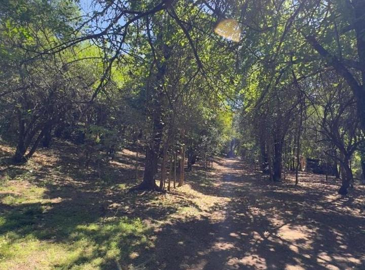 Terreno · 2000m²