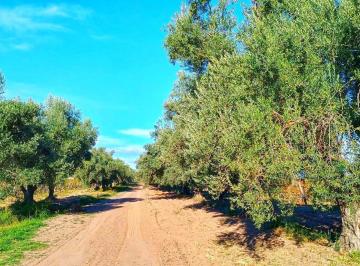 Terreno · 500m² · Finca en Venta