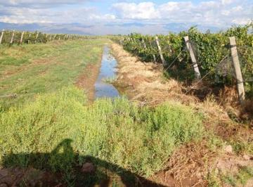 Quinta vacacional · 490000m² · Greenwood Inmobiliaria Vende Finca en Lavalle