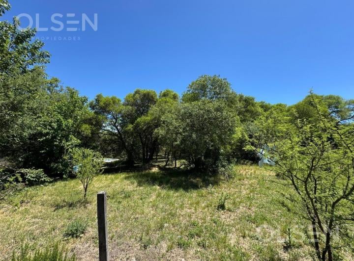 Terreno · 1148m²