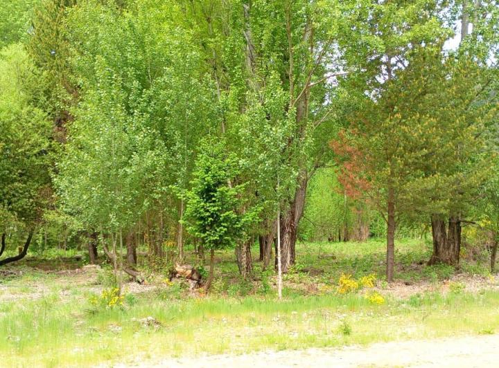 Terreno · 1930m²