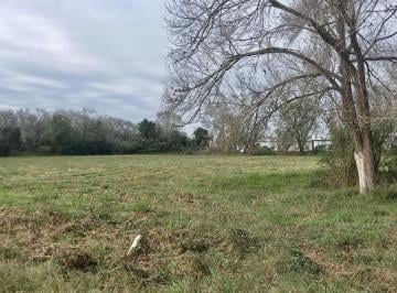 Terreno · 10000m² · Terreno de Una Hectárea en Ataliva