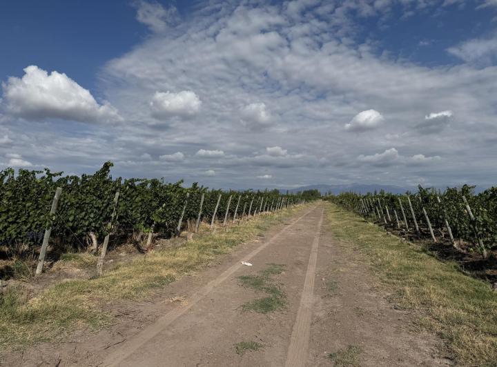 Campo · 100m² · 4 Ambientes