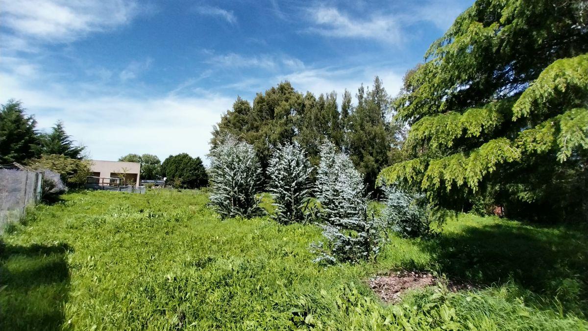 Retasado! Extraordinario lote con gas natural en venta en Colina de los Padres