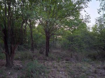 Foto · Venta de Terreno con Escritura - Bialet Masse