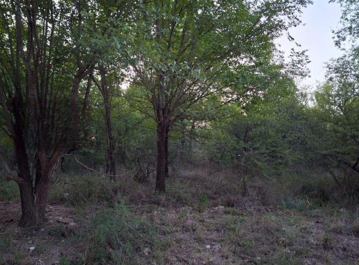 Terreno · 1127m²