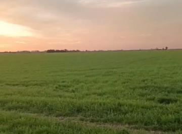 Campo · 160000m² · Campo en Máximo Paz. 17 Ha