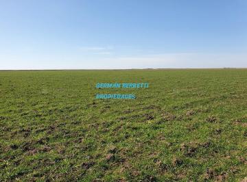 Campo · 5500m² · Terreno Campo en Venta Ubicado en Mar de Ajó, Costa Atlántica, Buenos Aires