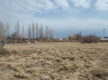 Terreno , General Roca · Lote en Venta. 302 m². en Stefenelli