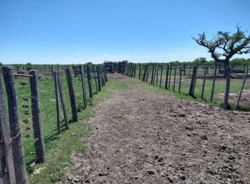 Campo , Cayastá · Campo en Venta de Aprox 600 Ha, en Cayastá, Santa Fe.