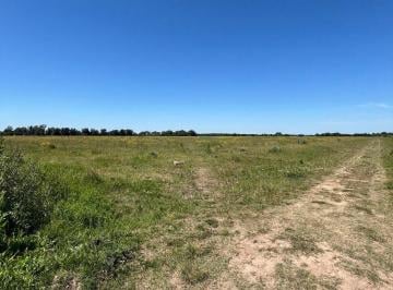 Campo , Baradero · En Venta, 25 Hectáreas en Excelente Ubicación. Ideales Para El Desarrollo Inmobiliario - Loteo.
