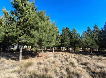 Terreno · 1158m² · Terreno Lote en Venta en Dos Valles, Bariloche, Patagonia