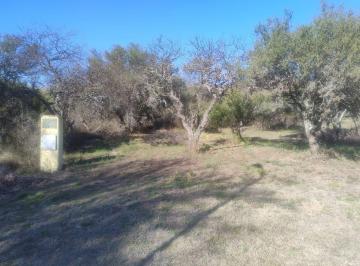 Terreno · 1637m² · Terreno en Barrio Estación Villa Elena, Merlo San Luis.