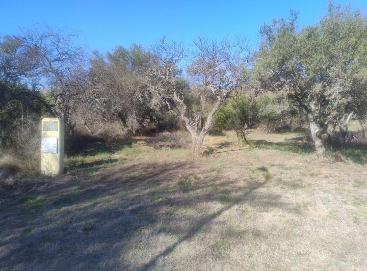 Terreno · 1637m²