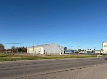 Bodega-Galpón · 800m² · 1 Cochera · Alquiler de Depósito Logístico en Zona Industrial
