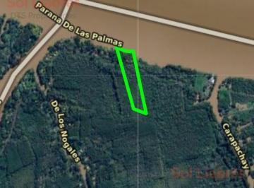 Terreno · 35048m² · Terreno en Venta en Primera Sección de Islas del Delta de Tigre