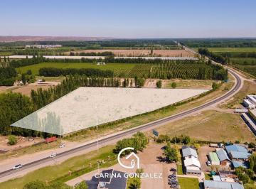 Terreno · 30000m² · Venta 3 Ha - Sobre Ruta 22 - Allen - Rio Negro