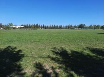 Terreno , Brandsen · Campos de Roca 2