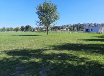 Terreno , Brandsen · Campos de Roca 2