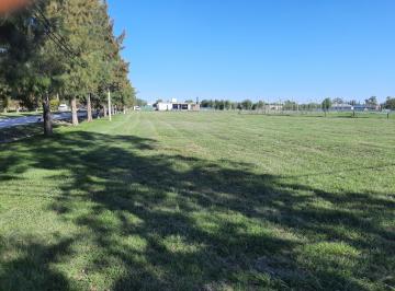 Terreno , Brandsen · Campos de Roca 2