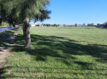 Terreno , Brandsen · Campos de Roca 2