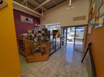 Local comercial · 270m² · Galpón en Venta Pleno Centro