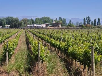 Terreno , Lunlunta · Vende Terreno Ideal Para Loteo en Lunlunta, Maipú, Mendoza.