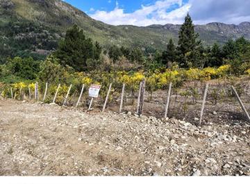 Terreno · 501m² · Lotes de 500 m² en Lago Puelo (Lg - 1)