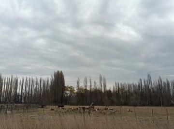 Campo · 150000m² · Chacra en General Conesa. Excelente Oportunidad