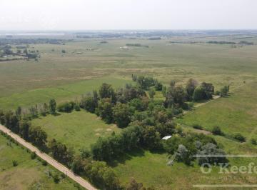 Campo · 1260000ha · Campo 126 Has Cerca de Ruta 215 - Productivo y Disfrute - La Plata