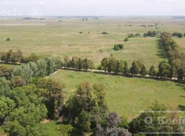 Campo · 1260000m² · Campo 126 Has Cerca de Ruta 215 - Productivo y Disfrute - La Plata