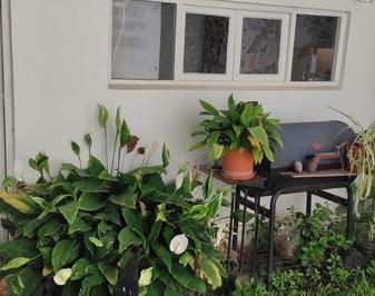 PH · 62m² · 3 Ambientes · Venta Espectacular PH en San Fernando - 3ambientes Jardín y Terraza - Super Privado Comodo y Lindo